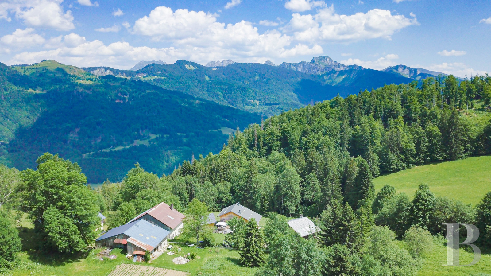 A traditional chalet barn surrounded by alpine pastures in Haute-Savoie, not far from Morzine - photo  n°43